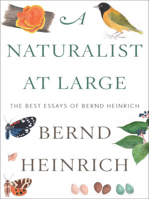 cover image of A Naturalist at Large